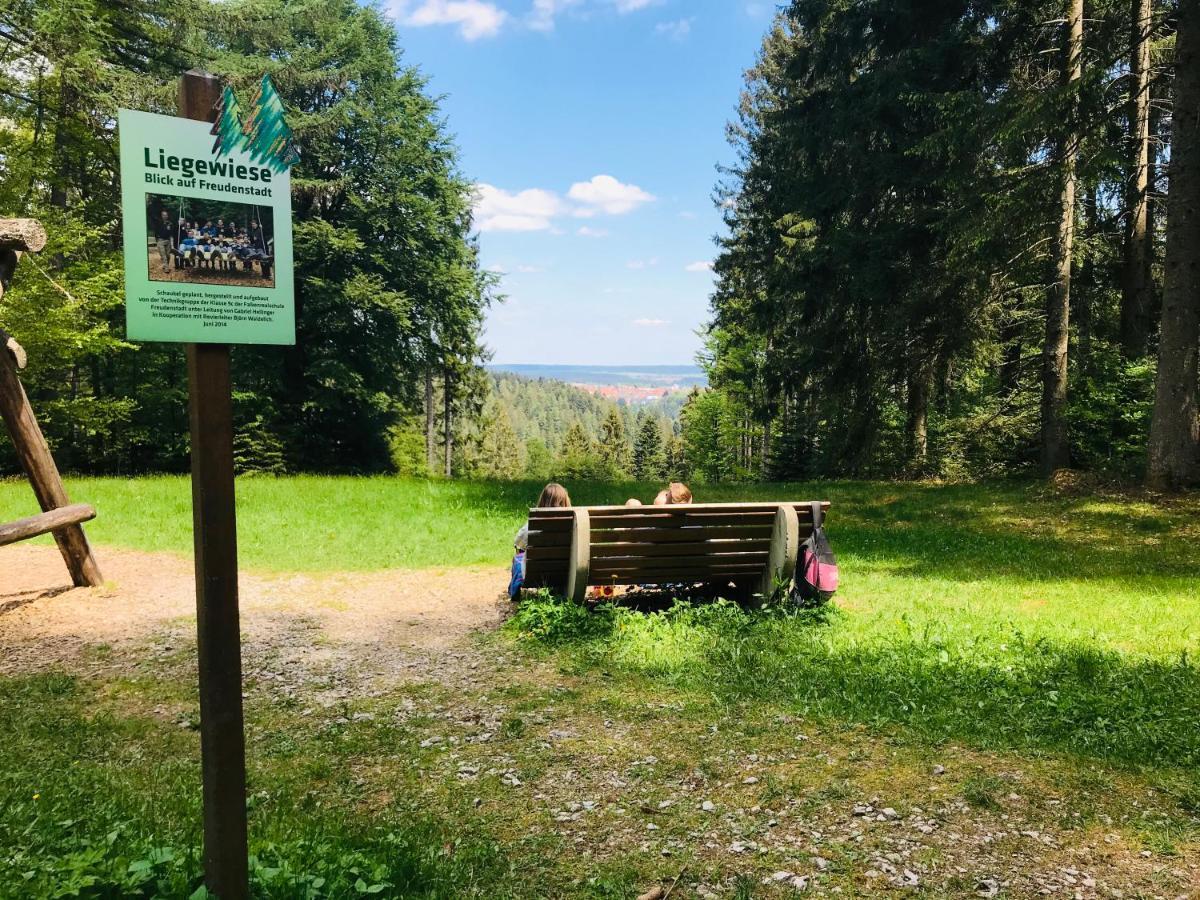 Haus Jenni Im Schwarzwald, 3,5-Zimmer, Grosse Terrasse Фройденштадт Екстер'єр фото